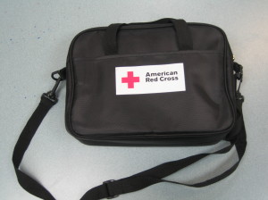 AED Carrying Bag